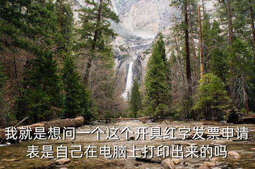 我就是想問一個(gè)這個(gè)開具紅字發(fā)票申請(qǐng)表是自己在電腦上打印出來的嗎