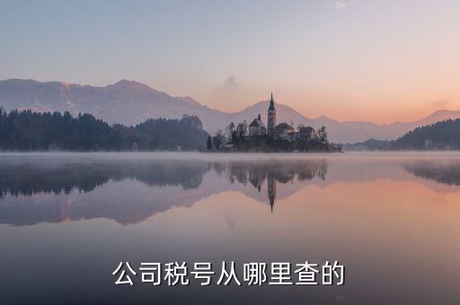 如何查到企業(yè)納稅號(hào)，公司稅號(hào)從哪里查的