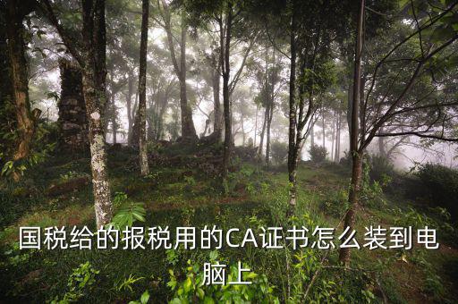 國(guó)稅給的報(bào)稅用的CA證書(shū)怎么裝到電腦上