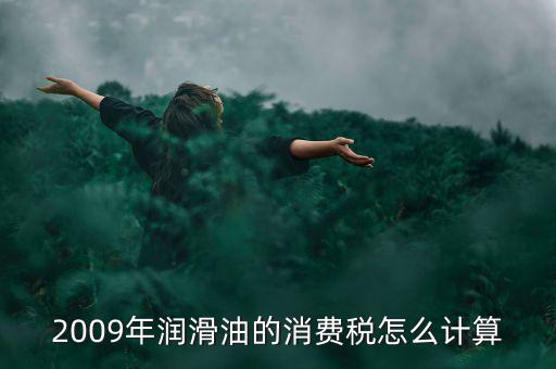 汽油消費稅如何計算公式，2009年潤滑油的消費稅怎么計算