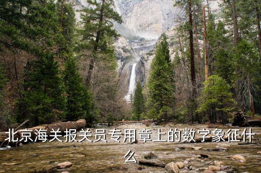北京海關報關員專用章上的數(shù)字象征什么