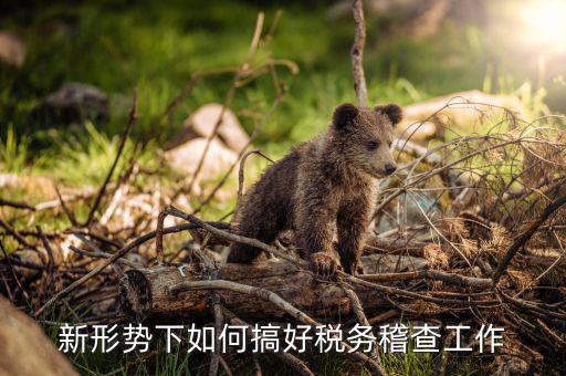 如何完善稅務(wù)一級(jí)稽查工作，新形勢(shì)下如何搞好稅務(wù)稽查工作