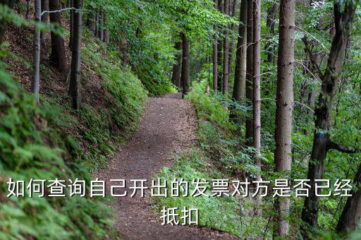 如何查詢已抵扣發(fā)票，怎么查詢開出的發(fā)票有沒有被抵扣