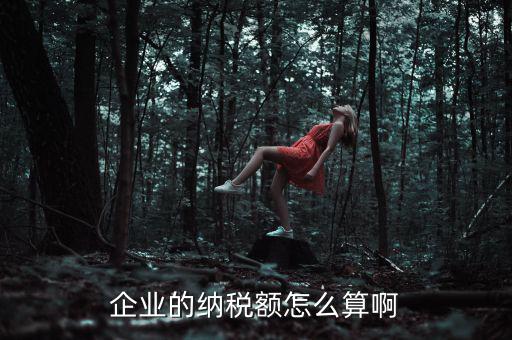 企業(yè)納稅如何計算，企業(yè)的納稅額怎么算啊