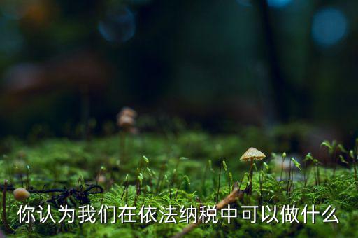 如何做到依法納稅，你認(rèn)為我們?cè)谝婪{稅中可以做什么