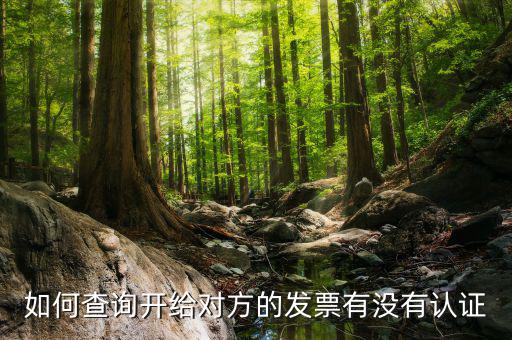 如何查詢發(fā)票認證信息查詢，如何查詢開給對方的發(fā)票有沒有認證