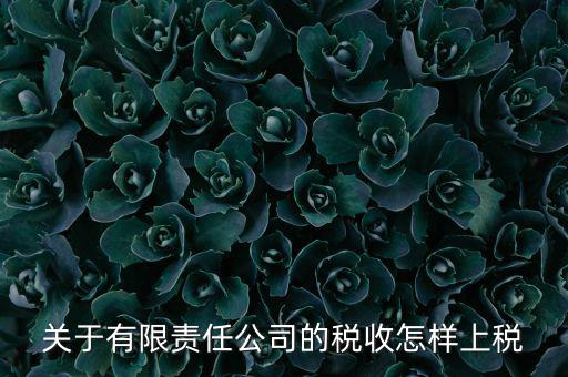 有限責任公司如何繳稅，有限責任公司是如何納稅的要繳納的稅種都有哪些