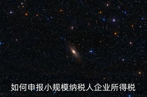 小規(guī)模納稅人如何報(bào)企業(yè)所得稅，如何申報(bào)小規(guī)模納稅人企業(yè)所得稅