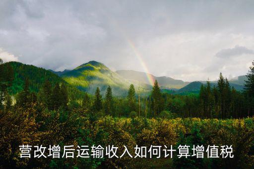 運輸業(yè)增值稅如何計算，道路運輸業(yè)的一般納稅人增值稅如何計算