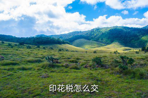 個(gè)人如何繳納印花稅，印花稅怎么交
