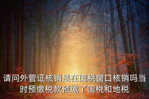 外管證如何核銷，發(fā)票已開外管證丟了怎么核銷