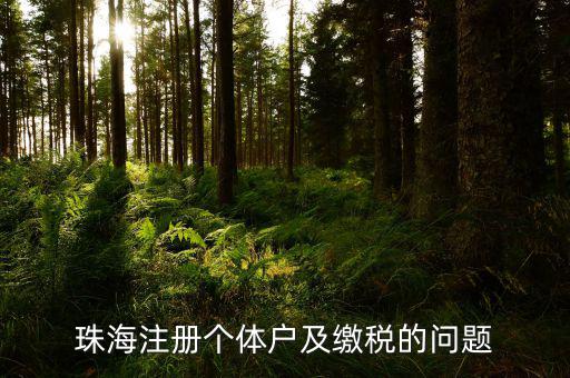 珠海稅票如何網(wǎng)上辦理，珠?？贪l(fā)票專用章程序