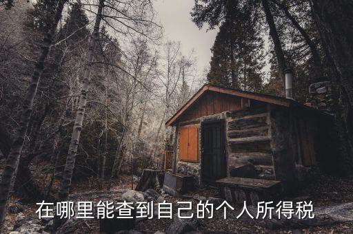 個人所得稅如何查，怎么查個人所得稅