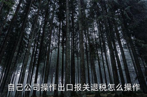 如何根據報關單退稅，報關到退稅的流程是怎樣的
