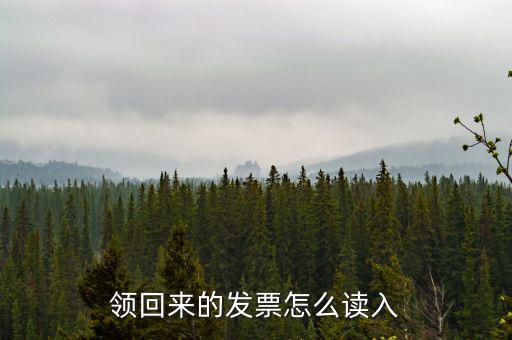 領回來的發(fā)票怎么讀入