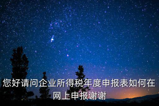 公司如何網(wǎng)絡(luò)申報(bào)表，新手請(qǐng)教企業(yè)所得稅年度納稅申報(bào)表在網(wǎng)上如何申報(bào)