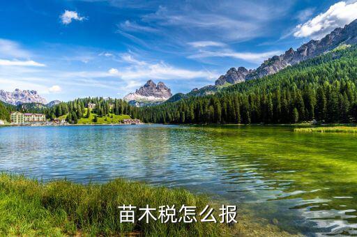 苗木增值稅免稅如何申報，苗木稅怎么報