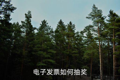 發(fā)票如何登記抽獎，發(fā)票怎么抽獎
