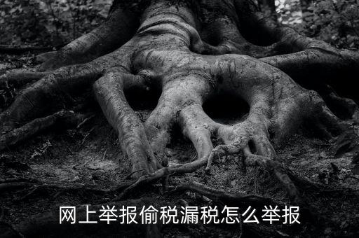 如何網(wǎng)上稅務(wù)舉報，網(wǎng)上舉報偷稅漏稅怎么舉報