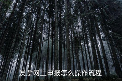 如何國稅局網(wǎng)上申請開票，如何登錄稅務(wù)網(wǎng)上開票
