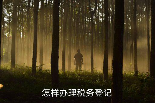 電子國(guó)稅如何稅務(wù)登記，如何進(jìn)行電子報(bào)稅的稅務(wù)登記