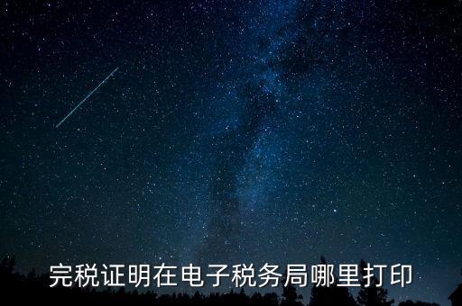 地稅的申報信息如何查詢打印，完稅證明在電子稅務局哪里打印