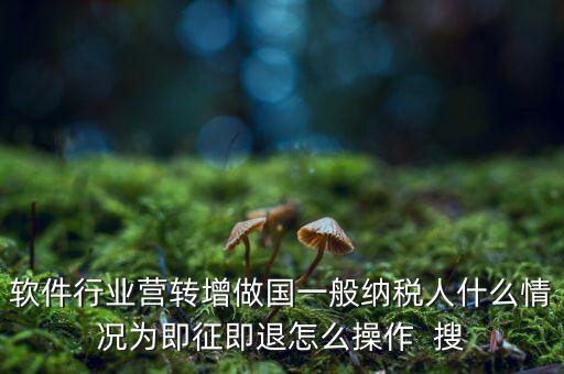 即征即退政策如何辦理，軟件行業(yè)營轉(zhuǎn)增做國一般納稅人什么情況為即征即退怎么操作  搜