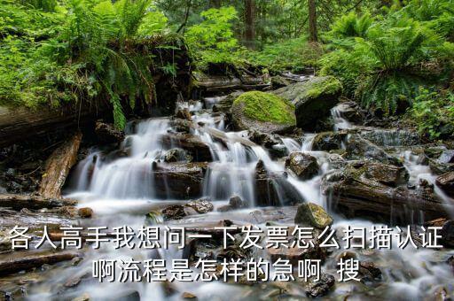 如何使用掃描儀認(rèn)證發(fā)票嗎，各人高手我想問一下發(fā)票怎么掃描認(rèn)證啊流程是怎樣的急啊  搜