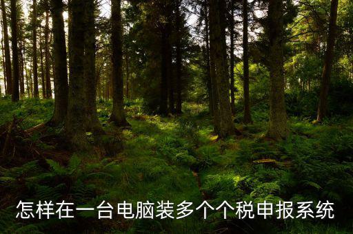 怎樣在一臺電腦裝多個(gè)個(gè)稅申報(bào)系統(tǒng)