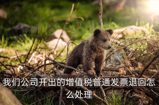 發(fā)票退回如何處理，我們公司開出的增值稅普通發(fā)票退回怎么處理