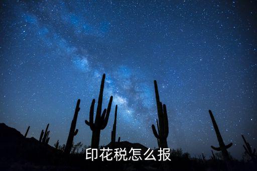 如何國(guó)稅申報(bào)印花稅，印花稅怎么報(bào)