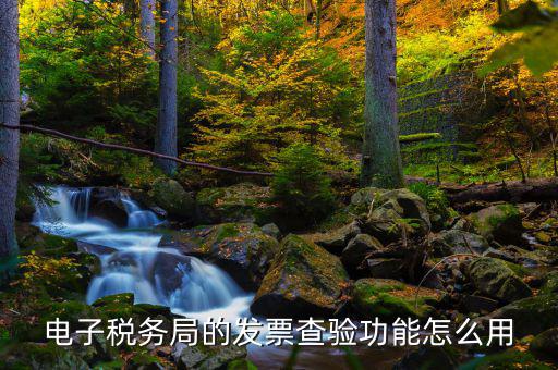 地稅的電子稅票如何查詢，電子稅務(wù)局的發(fā)票查驗(yàn)功能怎么用