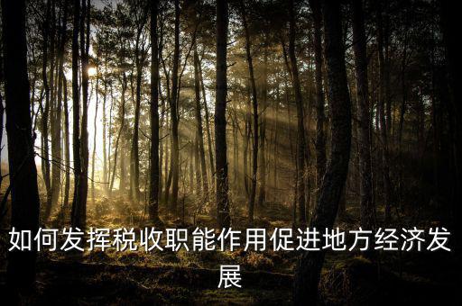 如何發(fā)揮稅收職能作用促進(jìn)地方經(jīng)濟(jì)發(fā)展