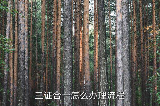 惠州市如何進行三證合一，三證合一怎么辦理流程