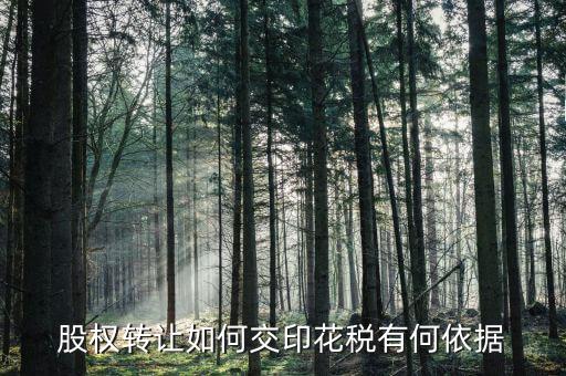 資產(chǎn)轉(zhuǎn)讓如何交印花稅，股權(quán)轉(zhuǎn)讓如何交印花稅有何依據(jù)