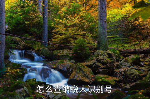 如何查詢個人納稅人識別號，納稅人識別號查詢