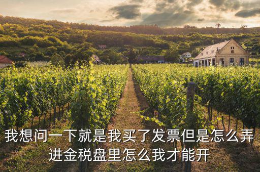 我想問(wèn)一下就是我買了發(fā)票但是怎么弄進(jìn)金稅盤里怎么我才能開(kāi)