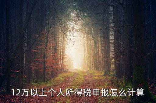 12萬個人申報如何計算，如何計算12萬元個人所得稅申報表