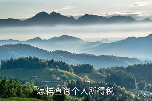 個(gè)人所得稅如何查詢 河南，怎么查詢個(gè)人所得稅