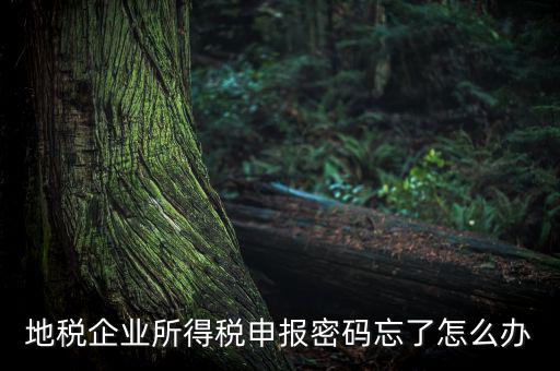 南京地稅密碼如何重置，個人所得稅忘記密碼之后如何進行重置呢