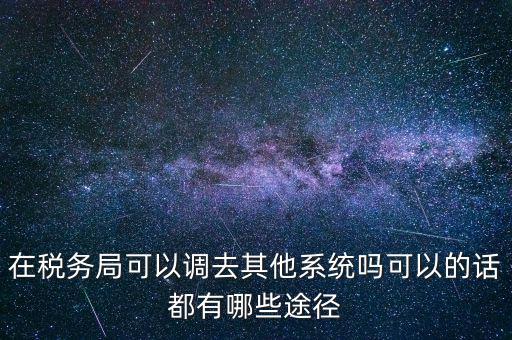 在稅務局可以調(diào)去其他系統(tǒng)嗎可以的話都有哪些途徑