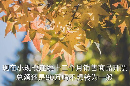財(cái)稅2018 80號(hào)如何解讀，現(xiàn)在小規(guī)模連續(xù)十二個(gè)月銷售商品開票總額還是80萬嗎不想轉(zhuǎn)為一般