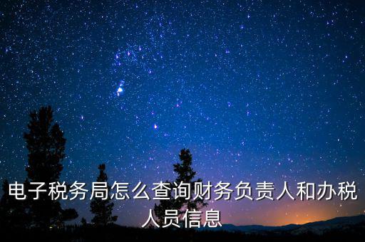 電子稅務(wù)局怎么查詢財務(wù)負責(zé)人和辦稅人員信息