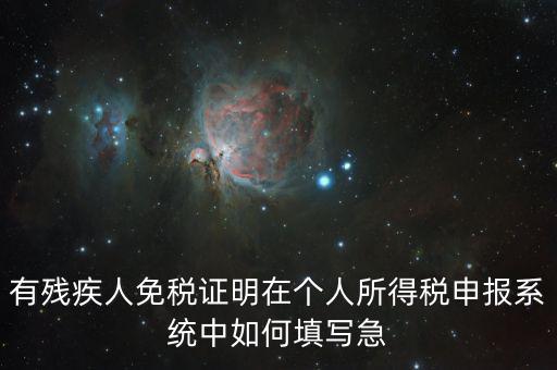 殘疾人個(gè)稅如何申報(bào)，有殘疾人免稅證明在個(gè)人所得稅申報(bào)系統(tǒng)中如何填寫急