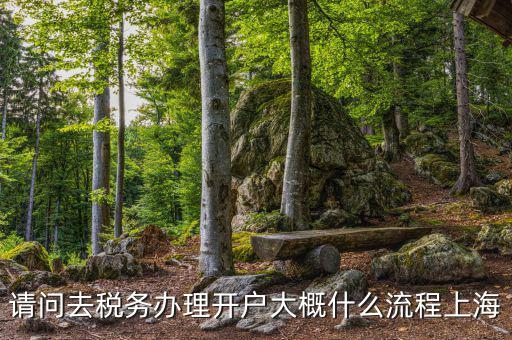 如何辦理稅務(wù)開戶，請問去稅務(wù)辦理開戶大概什么流程上海