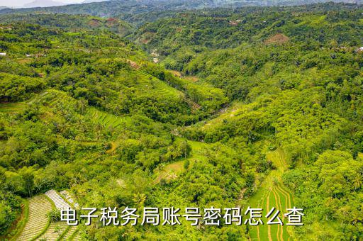 國稅賬戶如何查詢系統(tǒng)，電子稅務(wù)局賬號密碼怎么查