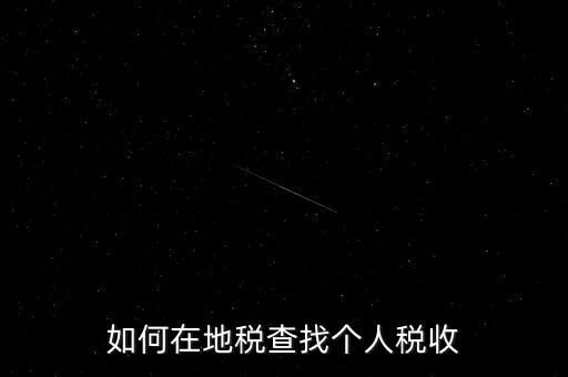 地稅局如何查個人所得稅，如何在地稅查找個人稅收