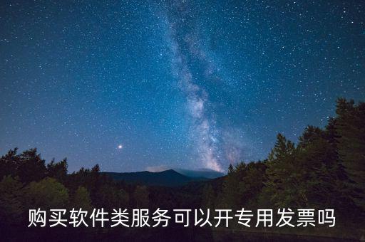 軟件采購專票如何開具，購買軟件類服務(wù)可以開專用發(fā)票嗎