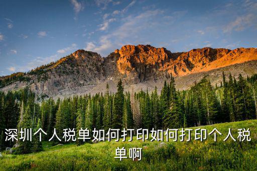 深圳網(wǎng)上如何打印稅單，怎樣在網(wǎng)上打印稅單我是深圳寶安區(qū)的
