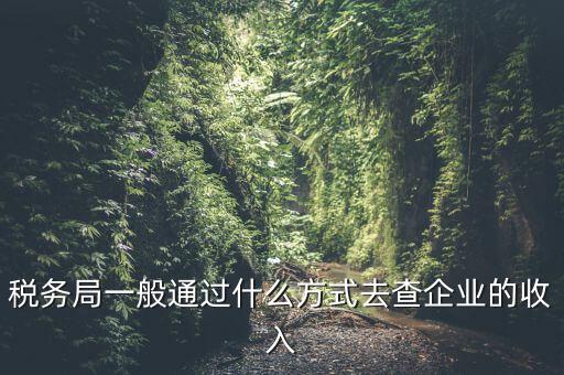 稅務(wù)如何統(tǒng)計(jì)收入，小規(guī)模增值稅季報(bào)在哪里統(tǒng)計(jì)收入